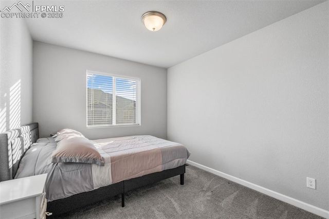 6115 White Wolf Point, Colorado Springs, CO 80925