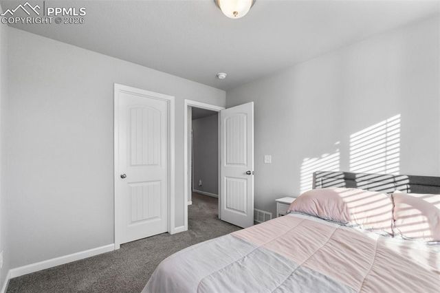 6115 White Wolf Point, Colorado Springs, CO 80925