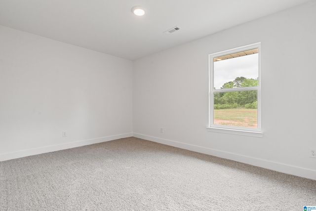 704 JAMESTOWN CIRCLE, Montevallo, AL 35115