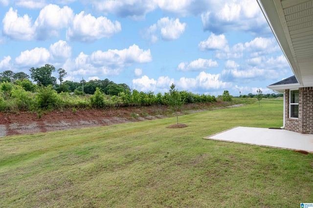 704 JAMESTOWN CIRCLE, Montevallo, AL 35115