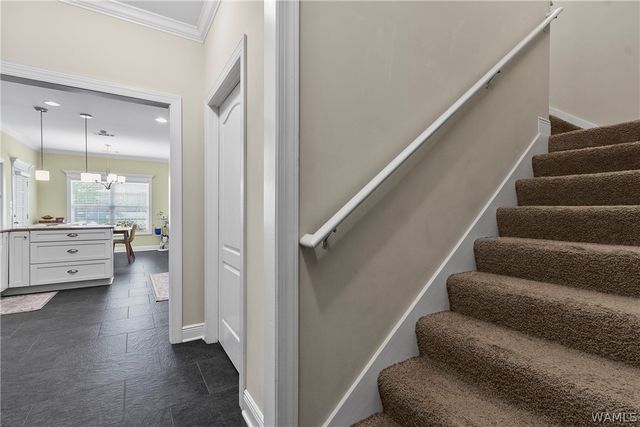3641 White Oaks, Tuscaloosa, AL 35406