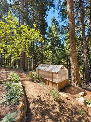 2220 Forebay Rd, Pollock Pines, CA 95726
