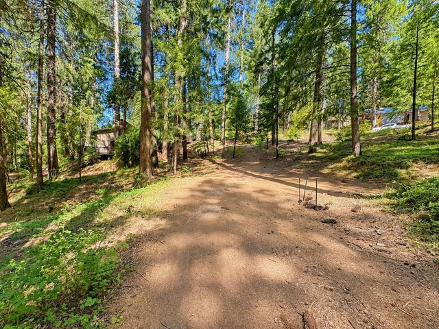 2220 Forebay Rd, Pollock Pines, CA 95726