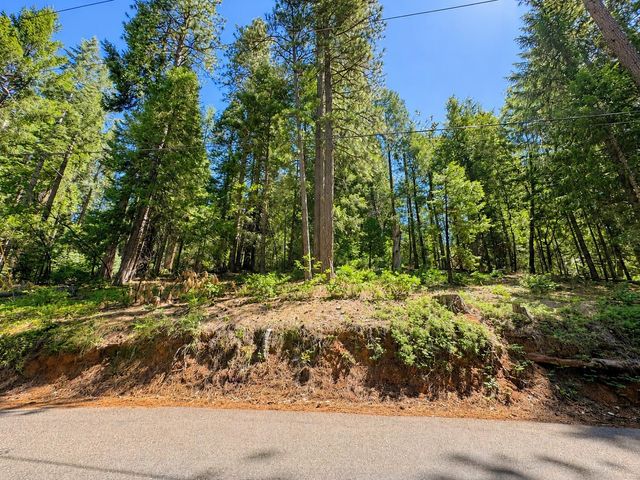 2220 Forebay Rd, Pollock Pines, CA 95726