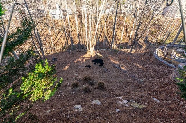 2017 Eagles Ridge, Waleska, GA 30183