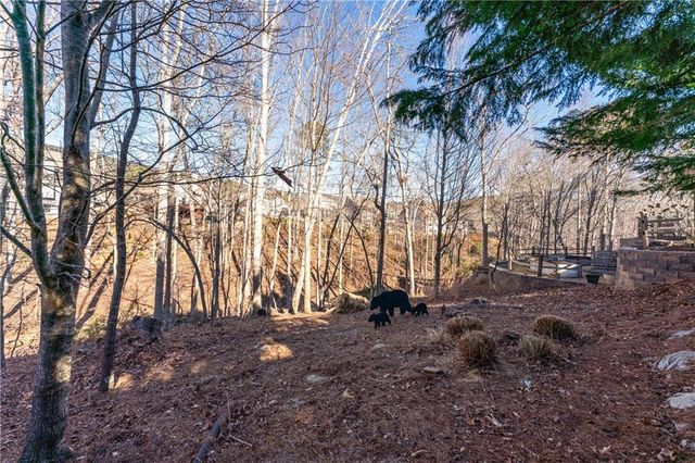 2017 Eagles Ridge, Waleska, GA 30183