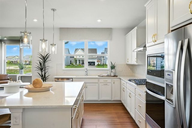 165 Oak Chase Road, New Lenox, IL 60451