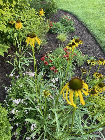 100 Point Cir, Tullahoma, TN 37388