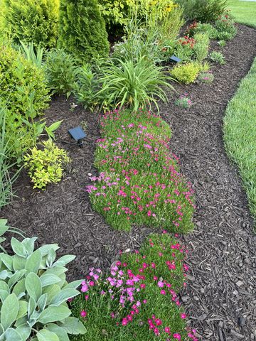 100 Point Cir, Tullahoma, TN 37388