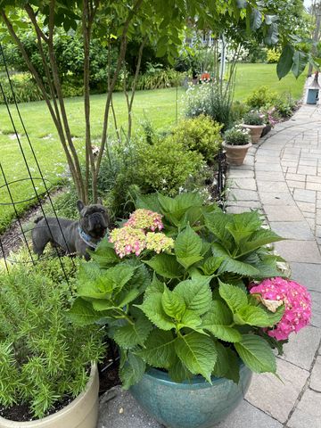 100 Point Cir, Tullahoma, TN 37388