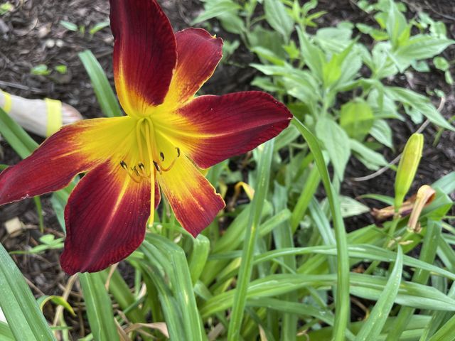 100 Point Cir, Tullahoma, TN 37388