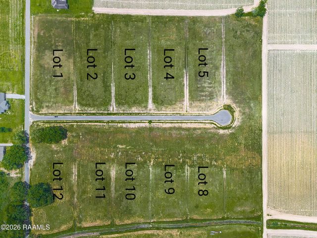 3906 Chemin Belle Terre, Maurice, LA 70555