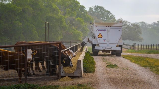 TBD Wolters Road, Schulenburg, TX 78956