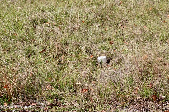 3990 APPALOOSA Road, Middleburg, FL 32068