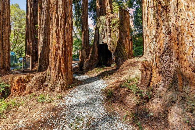 250 Keller Drive, Boulder Creek, CA 95006