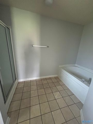 114 Amsterdam Place, Madison, AL 35758