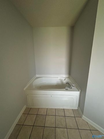114 Amsterdam Place, Madison, AL 35758