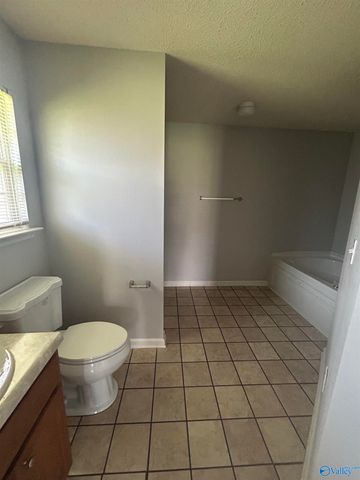 114 Amsterdam Place, Madison, AL 35758