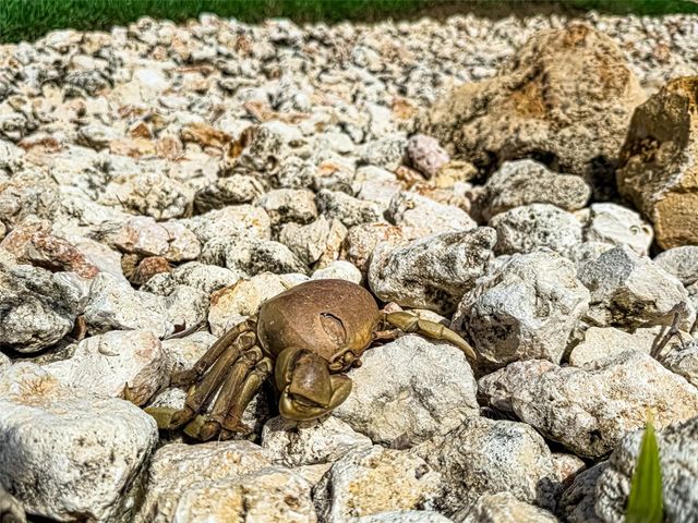 00690 COND TREASURE POINT 543, Vega Alta, PR 00692