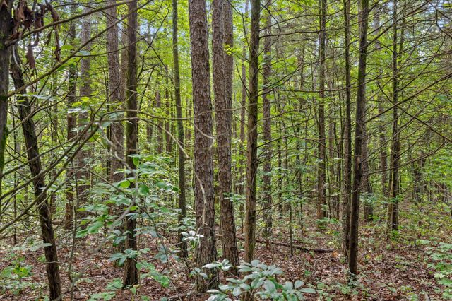 12706 Cranfield Road, Birchwood, TN 37308