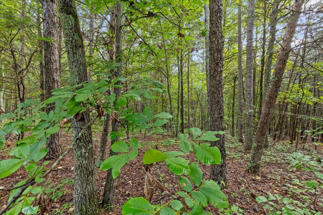 12706 Cranfield Road, Birchwood, TN 37308