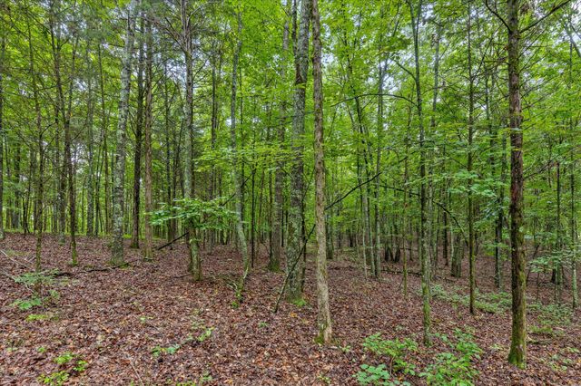 12706 Cranfield Road, Birchwood, TN 37308