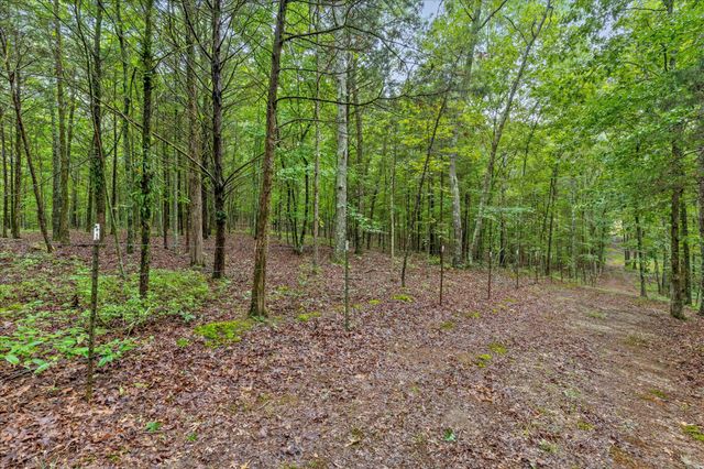 12706 Cranfield Road, Birchwood, TN 37308