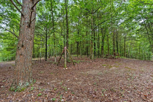 12706 Cranfield Road, Birchwood, TN 37308