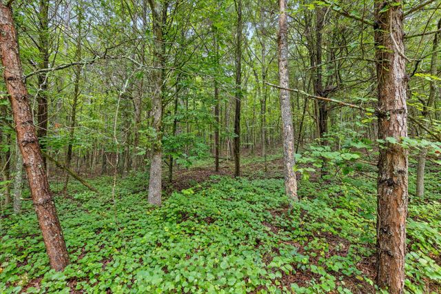12706 Cranfield Road, Birchwood, TN 37308