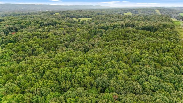 12706 Cranfield Road, Birchwood, TN 37308