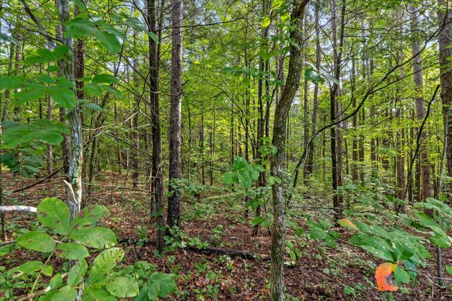 12706 Cranfield Road, Birchwood, TN 37308