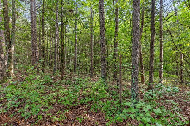 12706 Cranfield Road, Birchwood, TN 37308