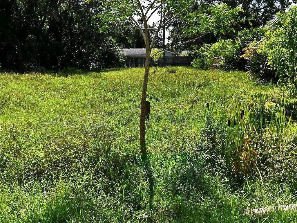 Image 1 of property listing at OLIVE AVENUE, Nokomis, FL 34275