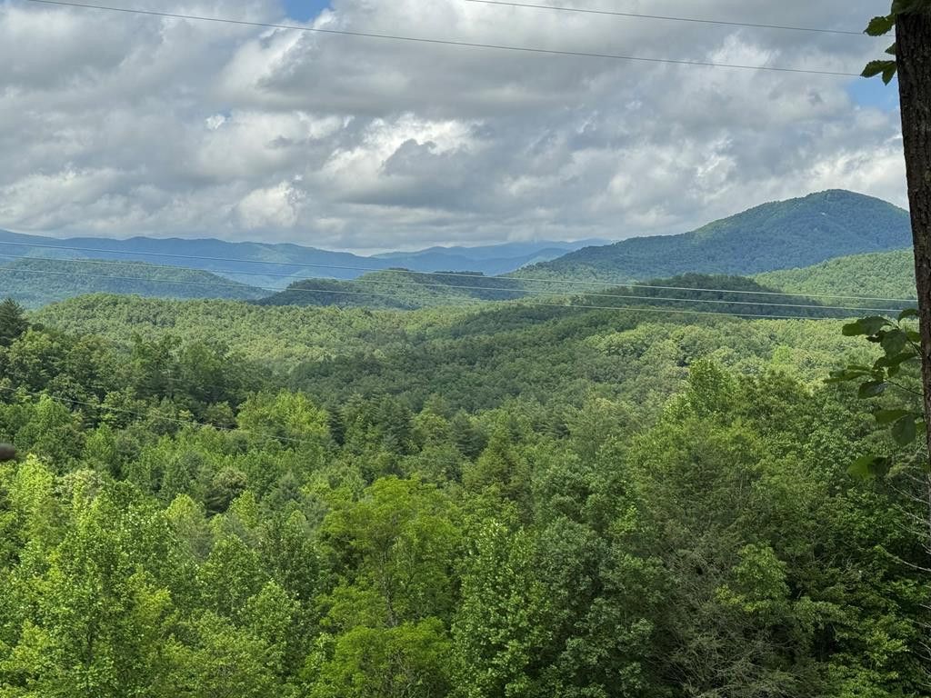Lot 62 Thundering Hill, Murphy, NC 28906