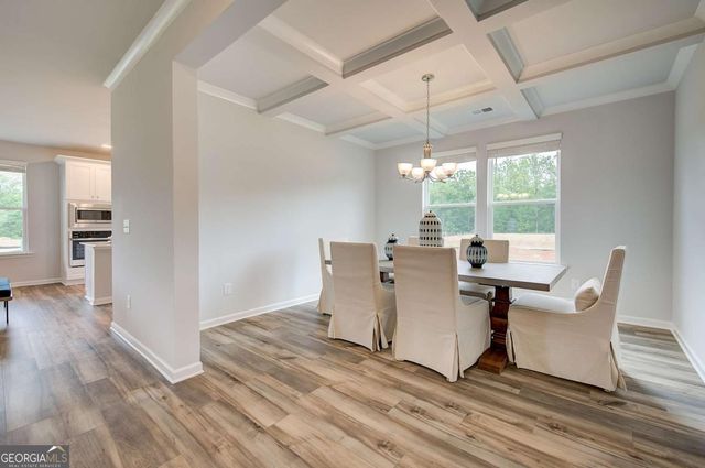 396 Enchanted Springs Court, Mcdonough, GA 30253