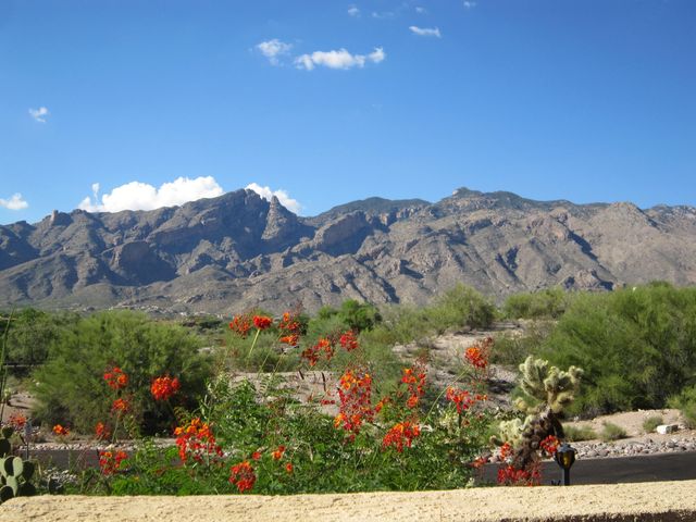 4160 E Aquarius Drive, Tucson, AZ 85718