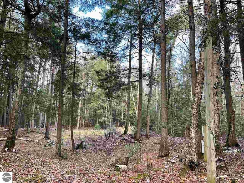 Image 1 of property listing at TBD East Side Drive, Beaver Island, MI 49782