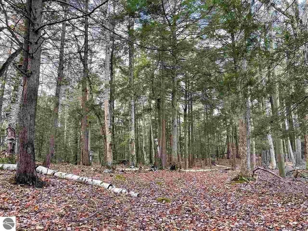 Image 2 of property listing at TBD East Side Drive, Beaver Island, MI 49782