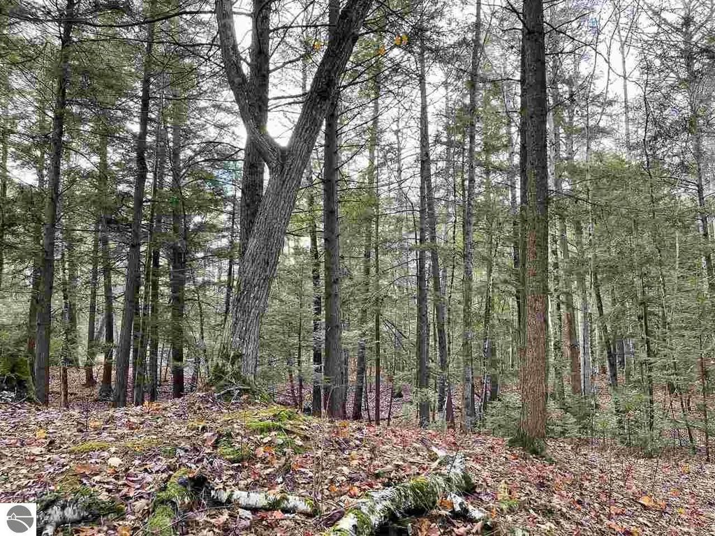 Image 3 of property listing at TBD East Side Drive, Beaver Island, MI 49782