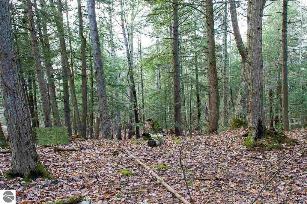 Image 4 of property listing at TBD East Side Drive, Beaver Island, MI 49782