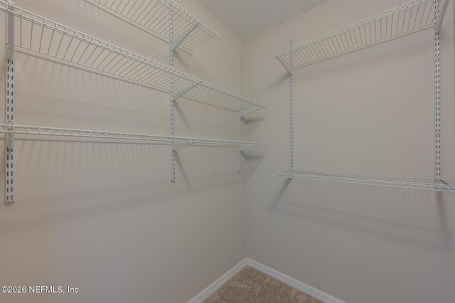 236 CRANES LAKE Drive, Ponte Vedra Beach, FL 32082