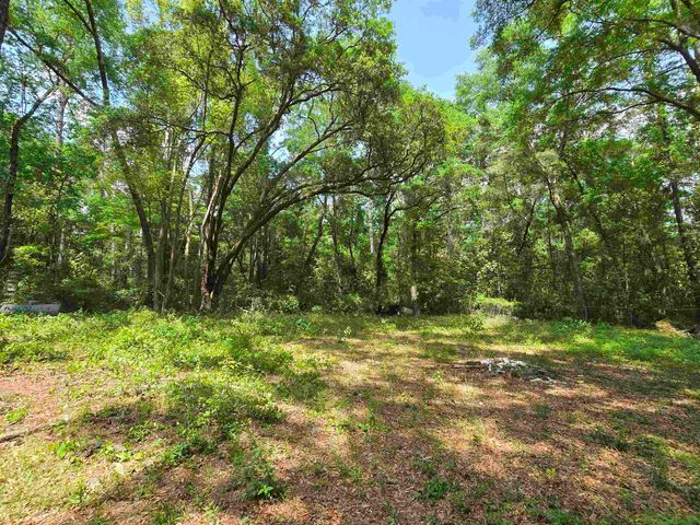 2339 Saturday Road, Tallahassee, FL 32310