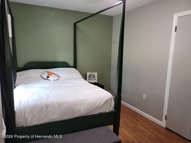 34307 Shaffer Drive, Dade City, FL 33523