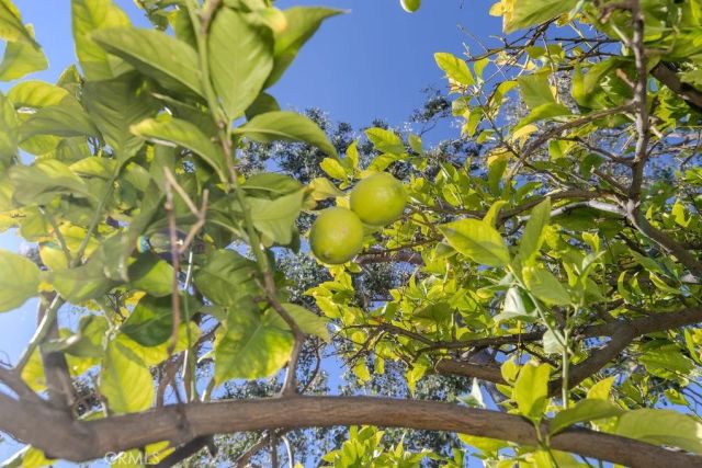 6568 Belhaven Court, Rancho Cucamonga, CA 91701