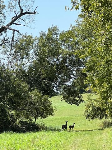 17 AC St Beulah Chapel Rd, Montgomery, TX 77316