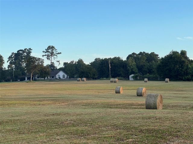 17 AC St Beulah Chapel Rd, Montgomery, TX 77316