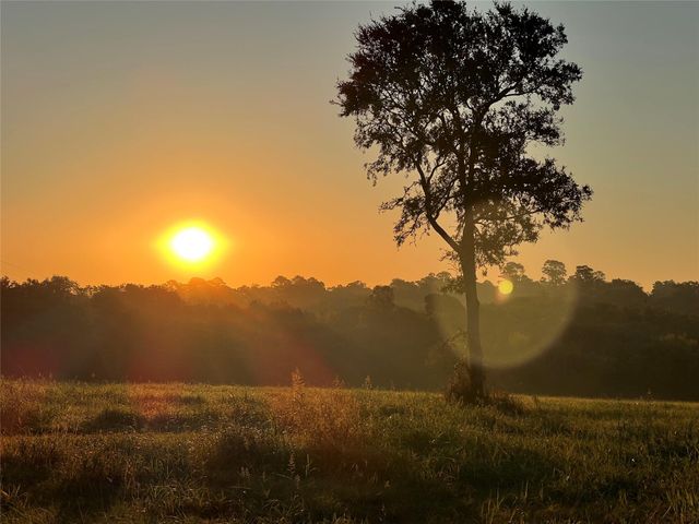 17 AC St Beulah Chapel Rd, Montgomery, TX 77316