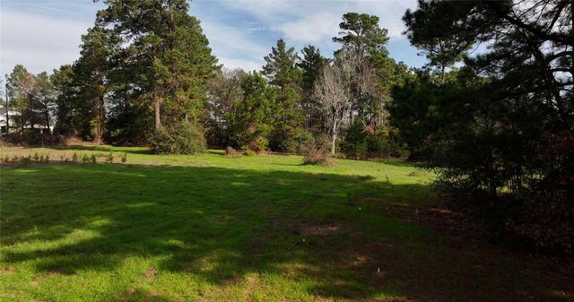 17 AC St Beulah Chapel Rd, Montgomery, TX 77316