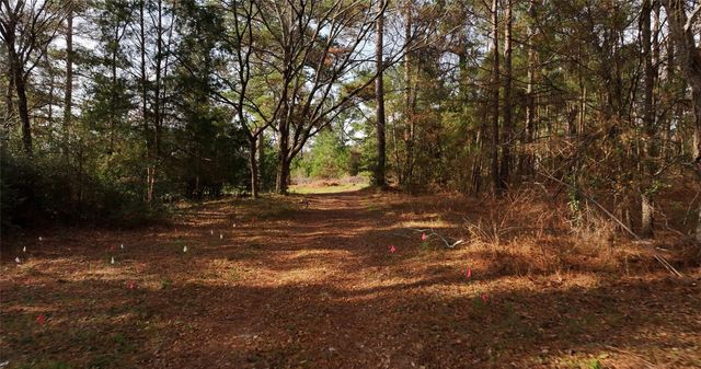 17 AC St Beulah Chapel Rd, Montgomery, TX 77316