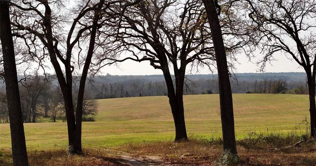 17 AC St Beulah Chapel Rd, Montgomery, TX 77316